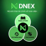 sách trắng dnex